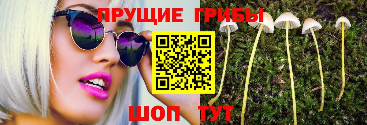 Галлюциногенные грибы мицелий Советский