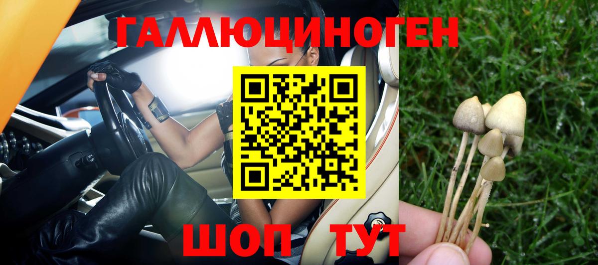 Псилоцибиновые грибы ЛСД  Вход с VPN  Советский  Галлюциногенные грибы ЛСД 